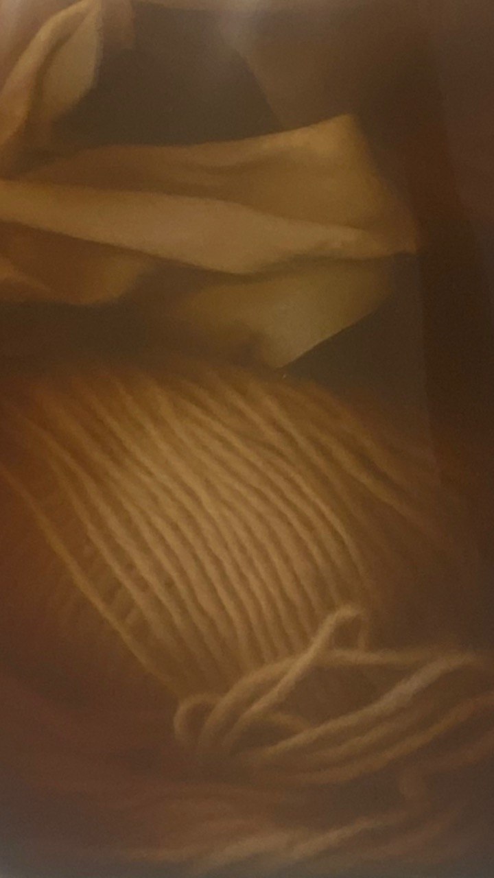 Workshop - Solar Dyeing